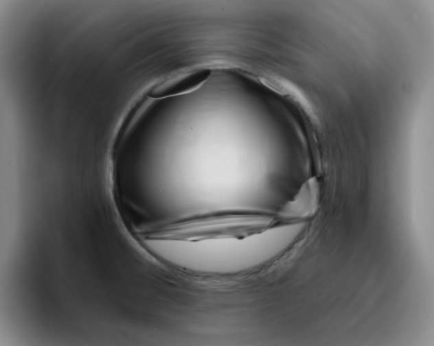 X0000096171476200802151425