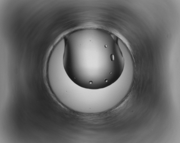 X0000096171477200802151425