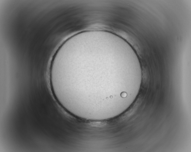 X0000096171478200802151425