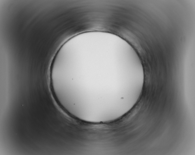 X0000096171479200802151425