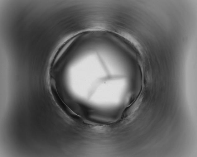 X0000096171480200802151425