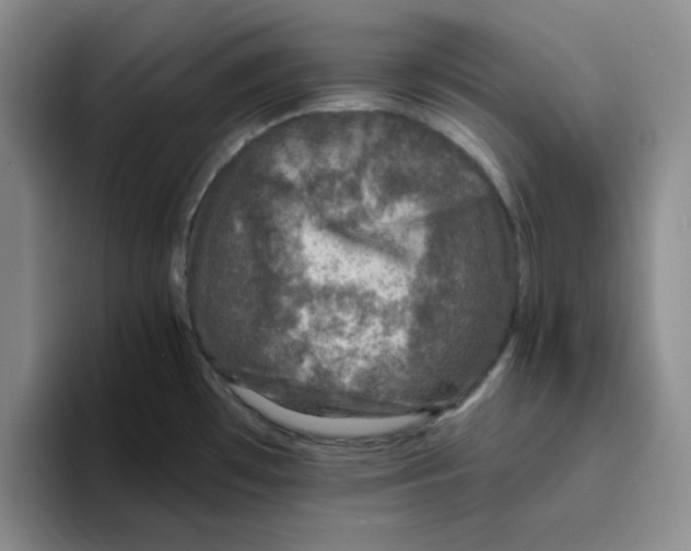 X0000096171481200802151425