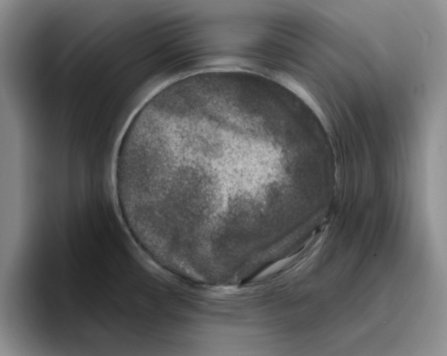 X0000096171482200802151425