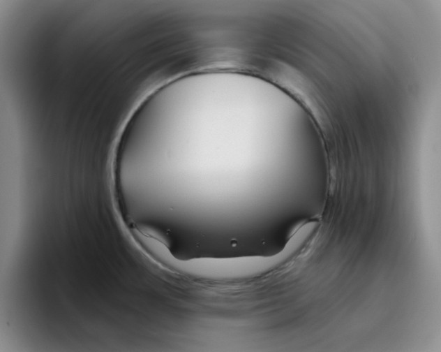 X0000096171483200802151425