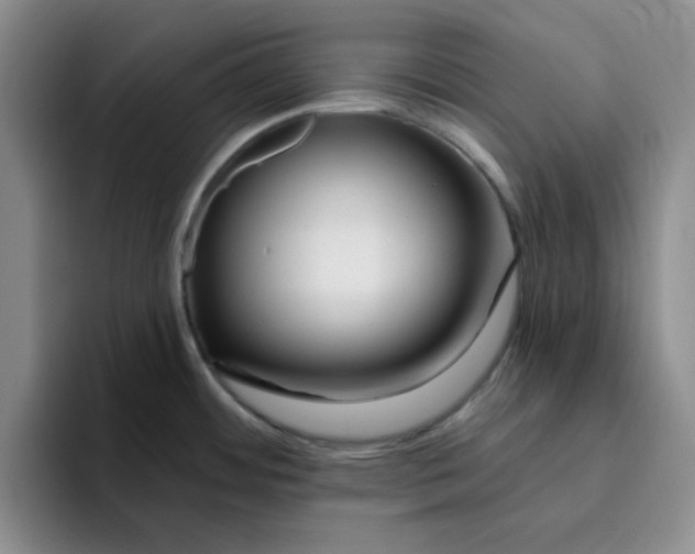 X0000096171484200802151425