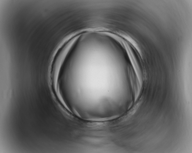 X0000096171485200802151425