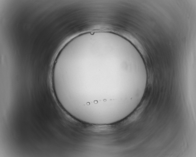 X0000096171486200802151425