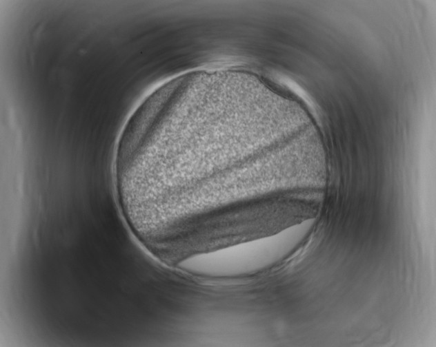 X0000096171487200802151425