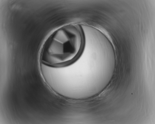 X0000096171488200802151425