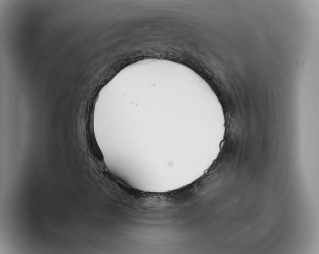 X0000096171489200802151424