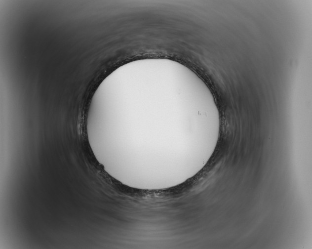 X0000096171490200802151424