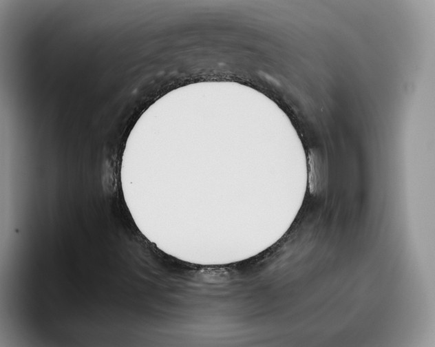 X0000096171491200802151424