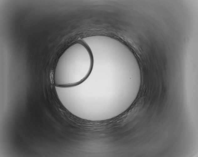 X0000096171492200802151424