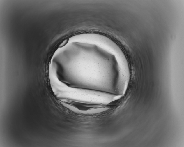 X0000096171494200802151424