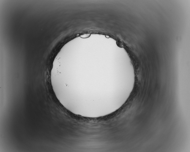 X0000096171495200802151424