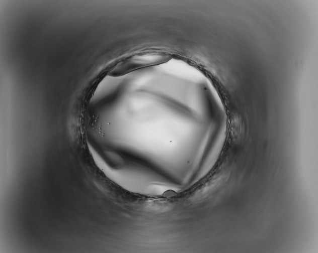 X0000096171496200802151424