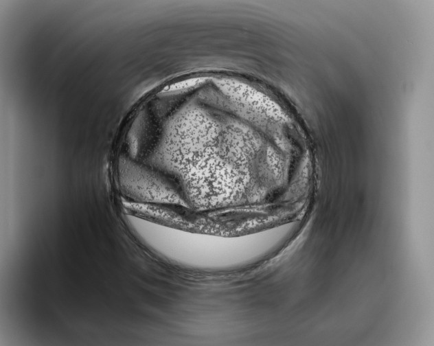 X0000096171497200802151424