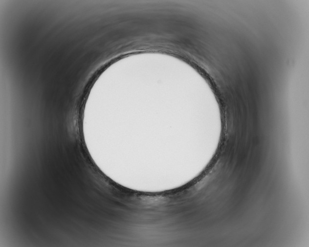 X0000096171498200802151424