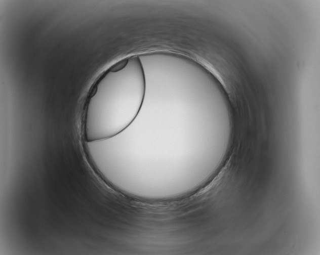 X0000096171500200802151424