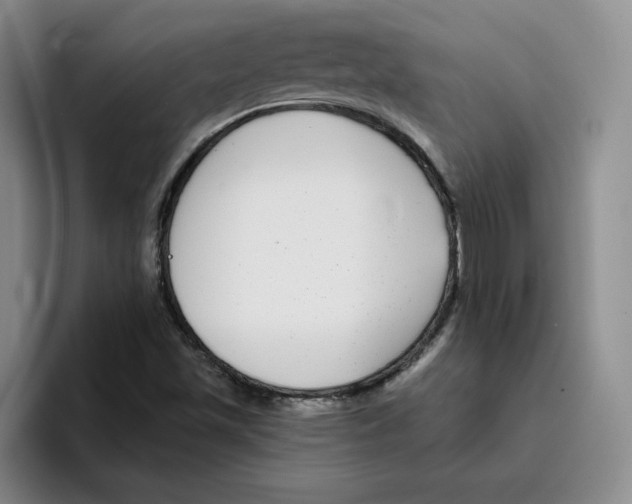 X0000096171501200802151424