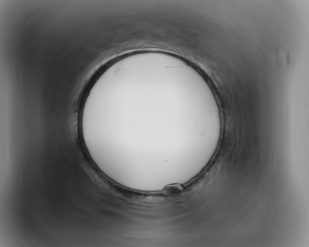 X0000096171503200802151424