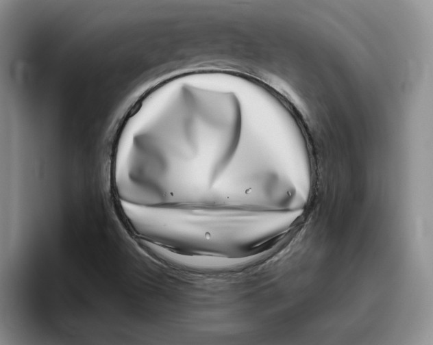 X0000096171504200802151424