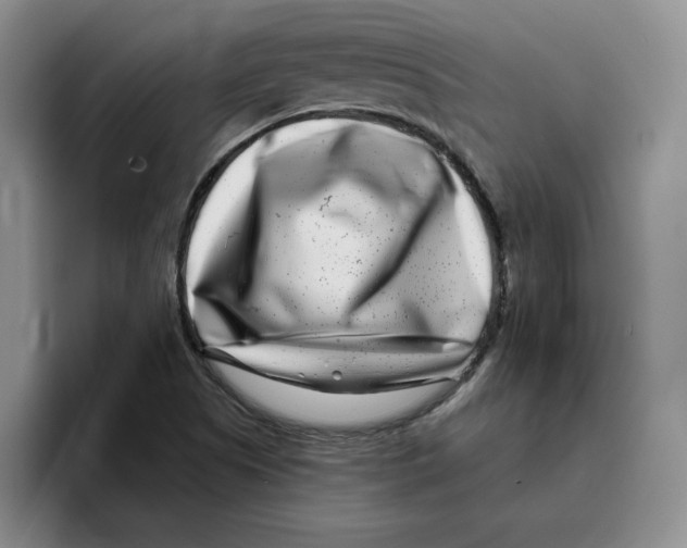 X0000096171505200802151424