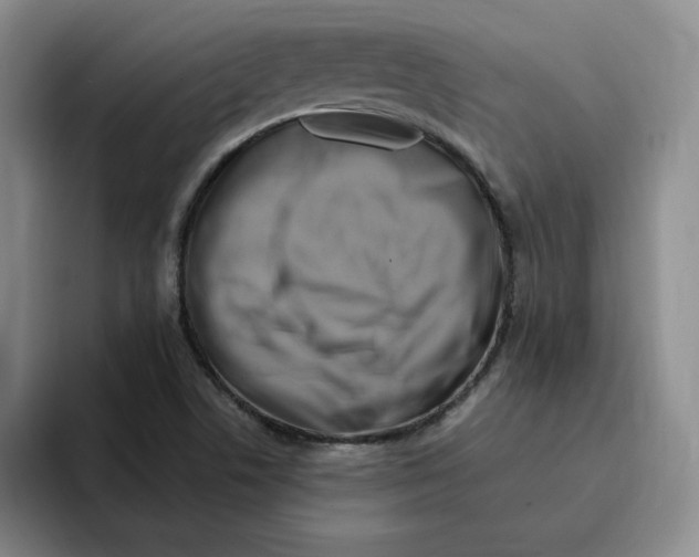 X0000096171506200802151424