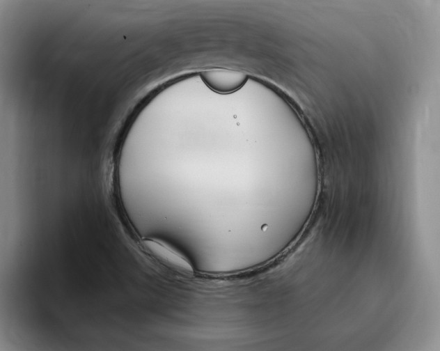 X0000096171507200802151424