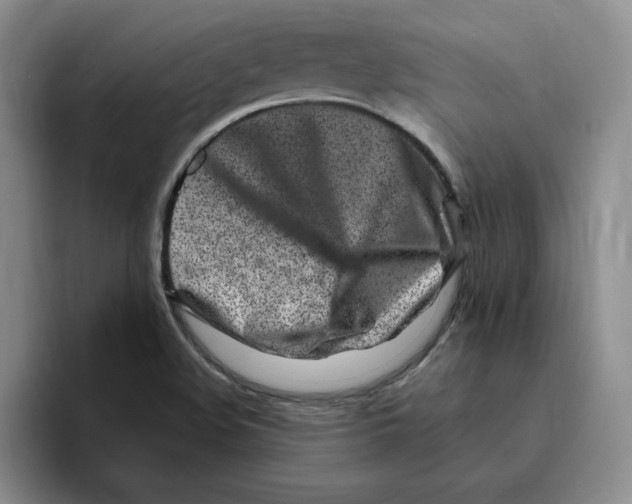 X0000096171508200802151424