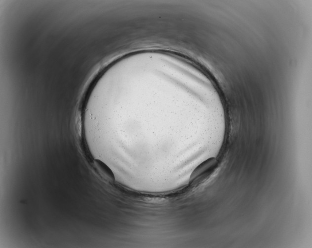 X0000096171509200802151424