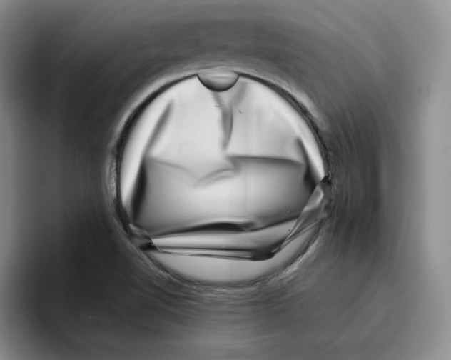 X0000096171510200802151424