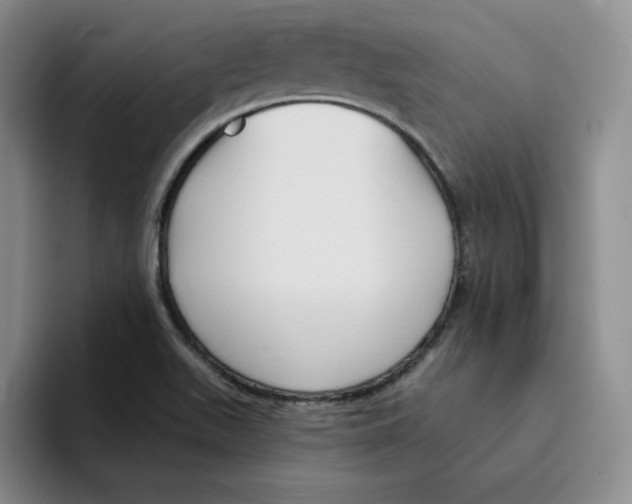 X0000096171511200802151424