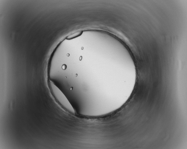 X0000096171512200802151424