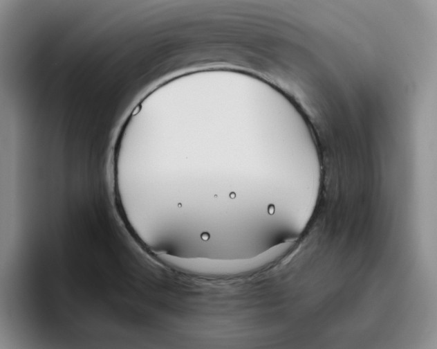 X0000096171516200802151424