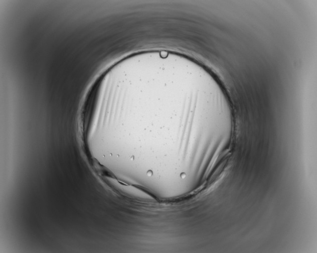 X0000096171517200802151424