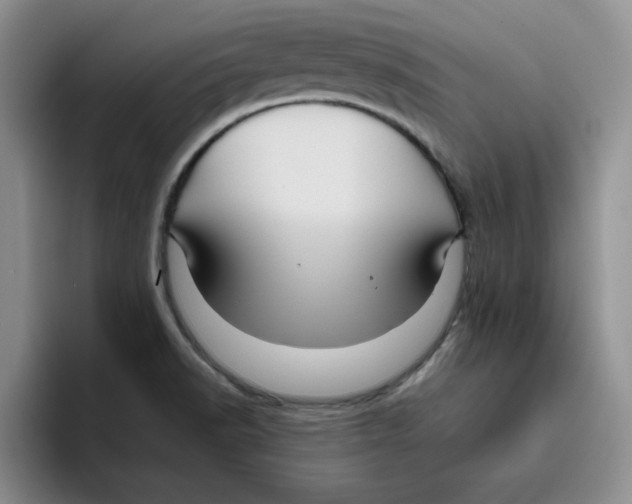 X0000096171518200802151424