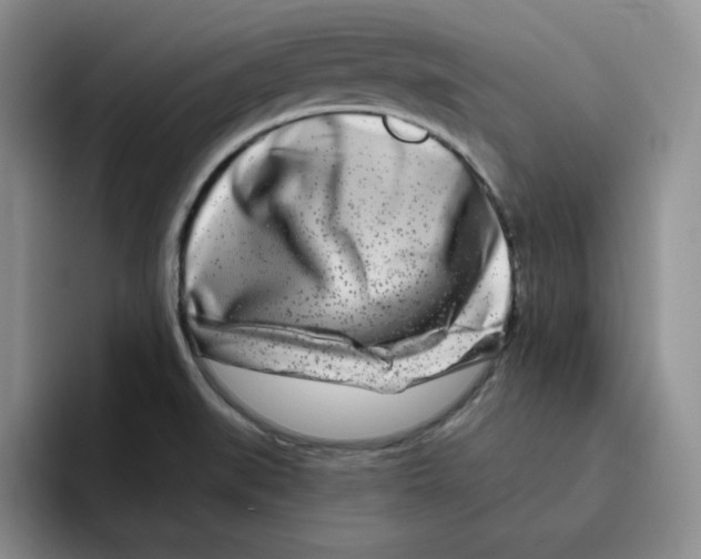 X0000096171519200802151424