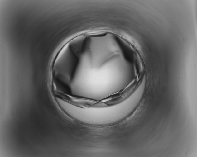 X0000096171520200802151424