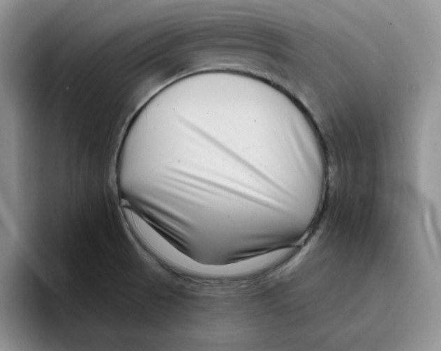 X0000096171521200802151424