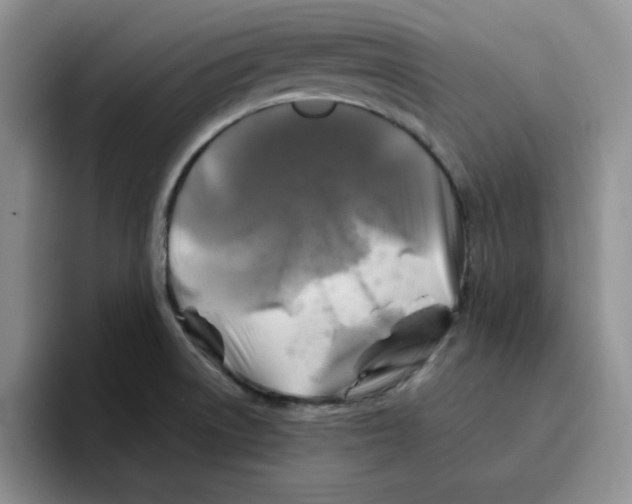 X0000096171522200802151424