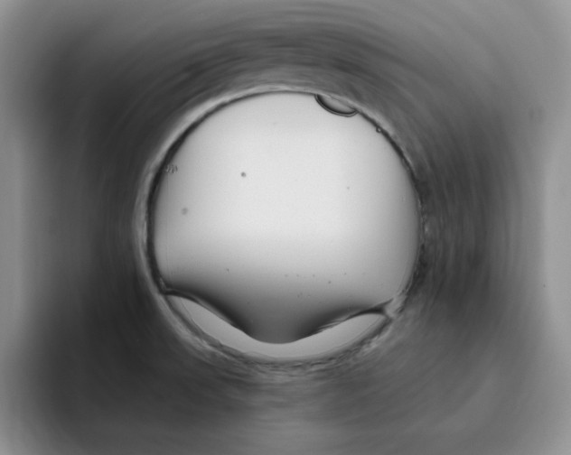 X0000096171523200802151424