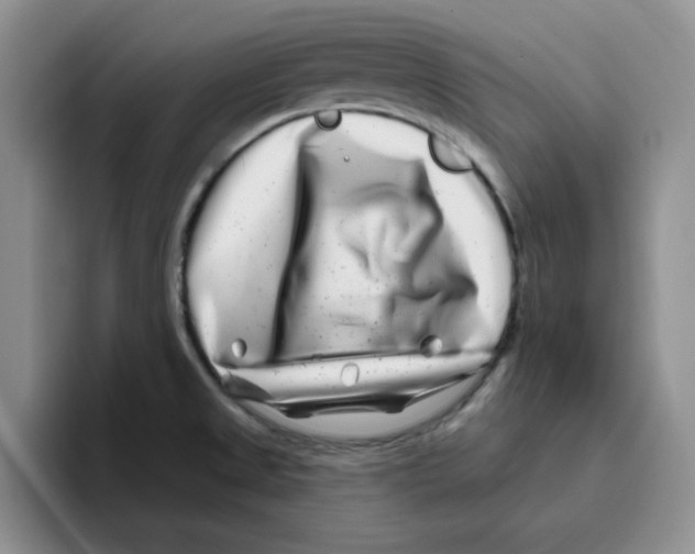 X0000096171525200802151424