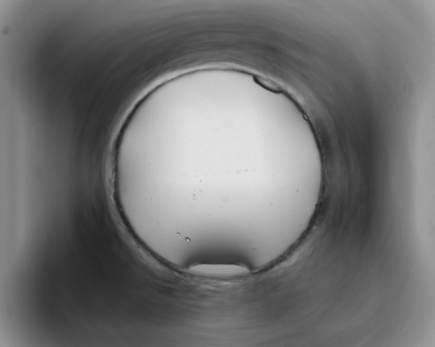 X0000096171526200802151424