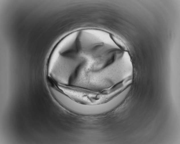 X0000096171527200802151424