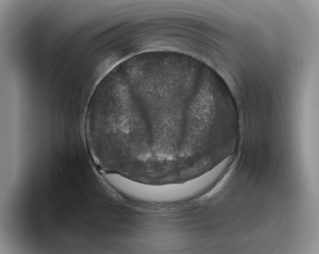 X0000096171529200802151424