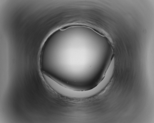 X0000096171530200802151424