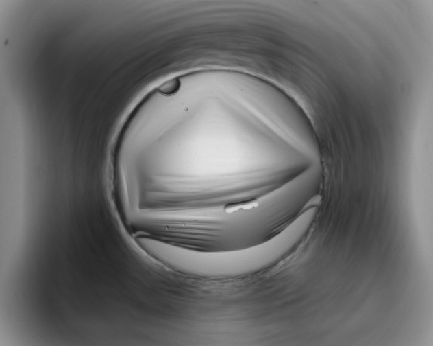 X0000096171531200802151424