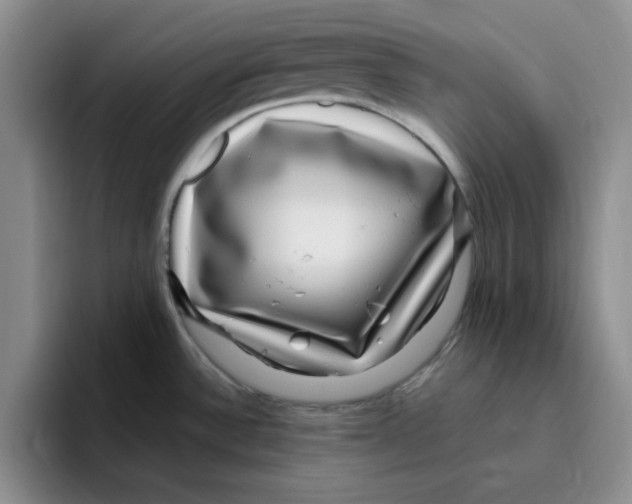 X0000096171532200802151425