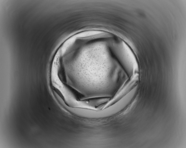 X0000096171533200802151425